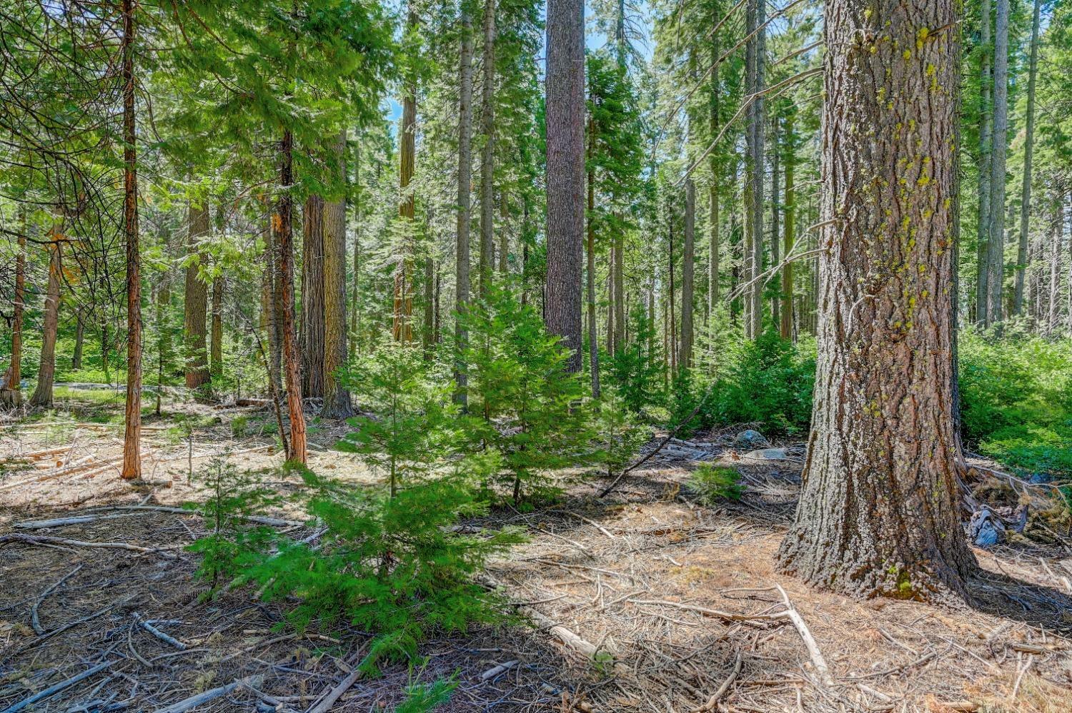 Property Photo: 10 Timber Trail Court CA 95223