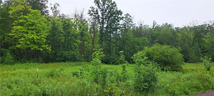 Property Photo: Lot 3 Musky Point Drive WI 54876