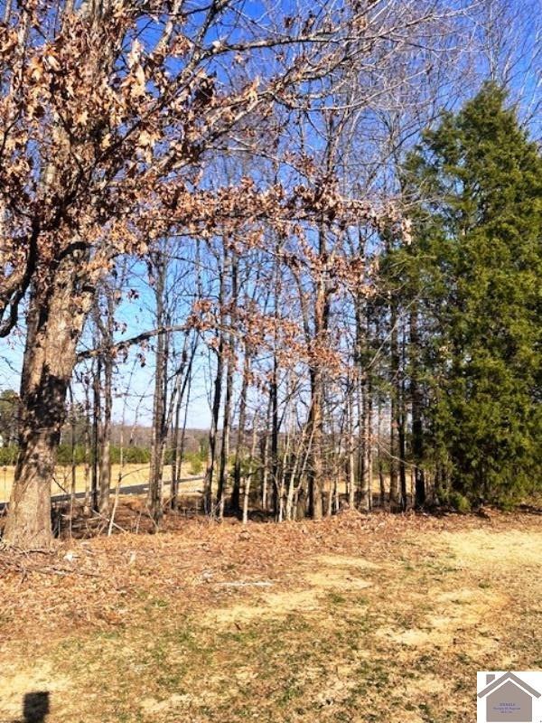 Property Photo: Lot 86 Forest Ridge Dr KY 42003