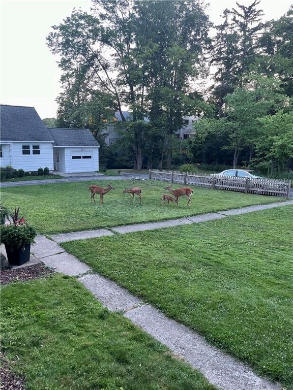 Property Photo:  937 E State Street  NY 14850 