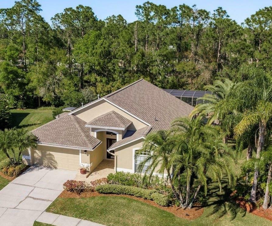 14709 Coral Berry Drive  Tampa FL 33626 photo