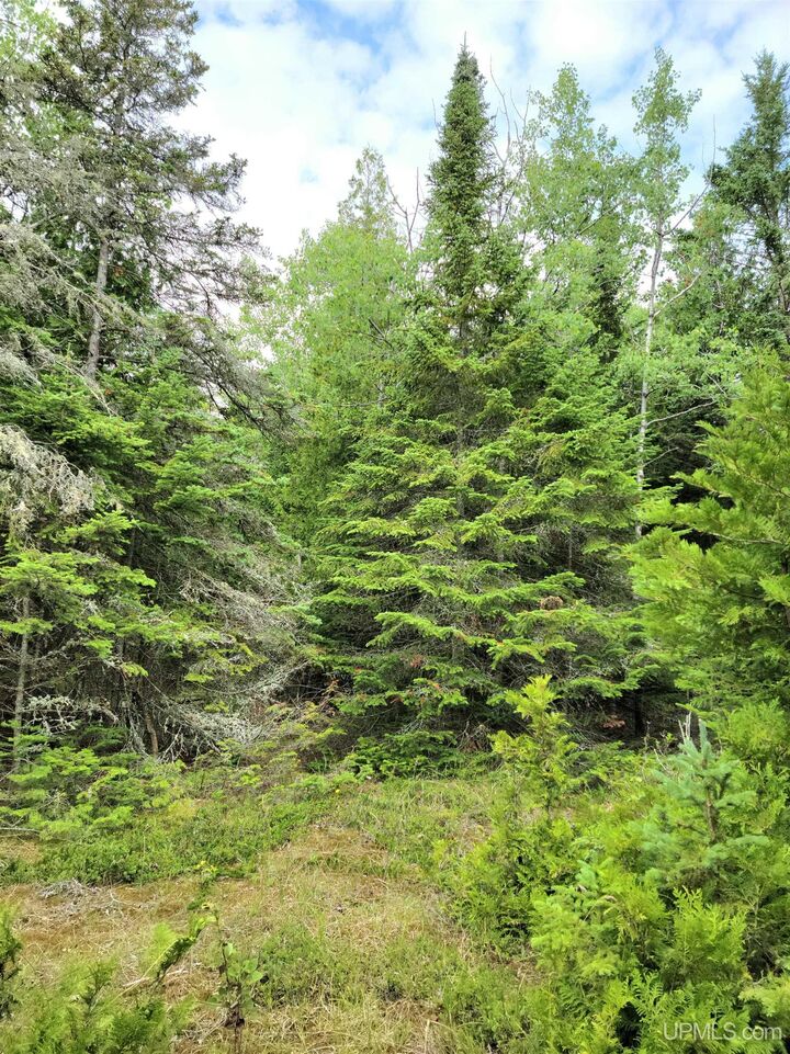 Property Photo:  Tbd Big Summer Island Island  MI 49835 