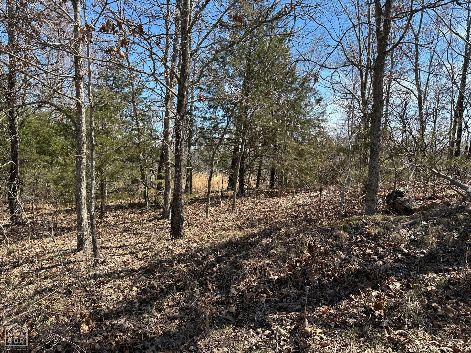 2 Deer Meadows Lane  Yellville AR 72687 photo
