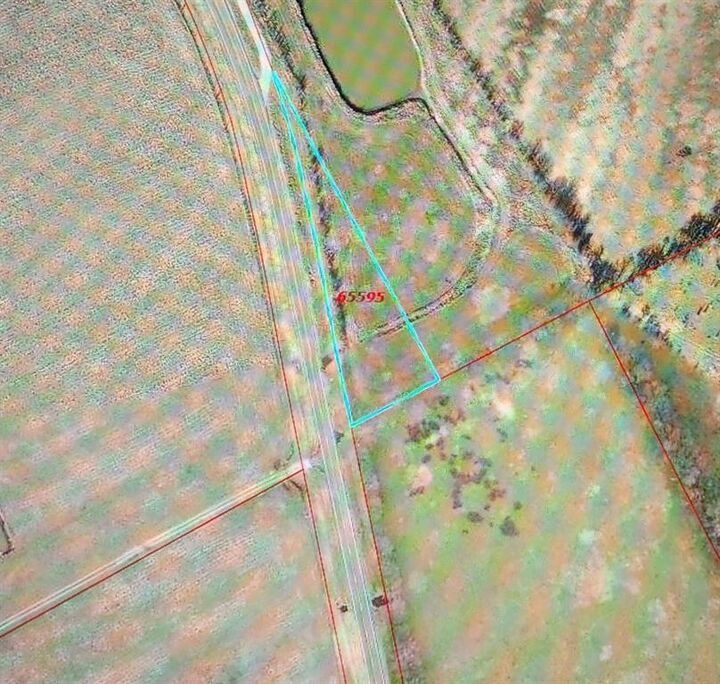 12057 Fm 638  Dawson TX 76639 photo