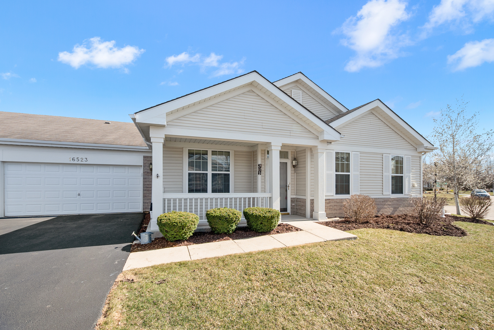 Property Photo: 16523 Buckner Pond Way 5 IL 60403