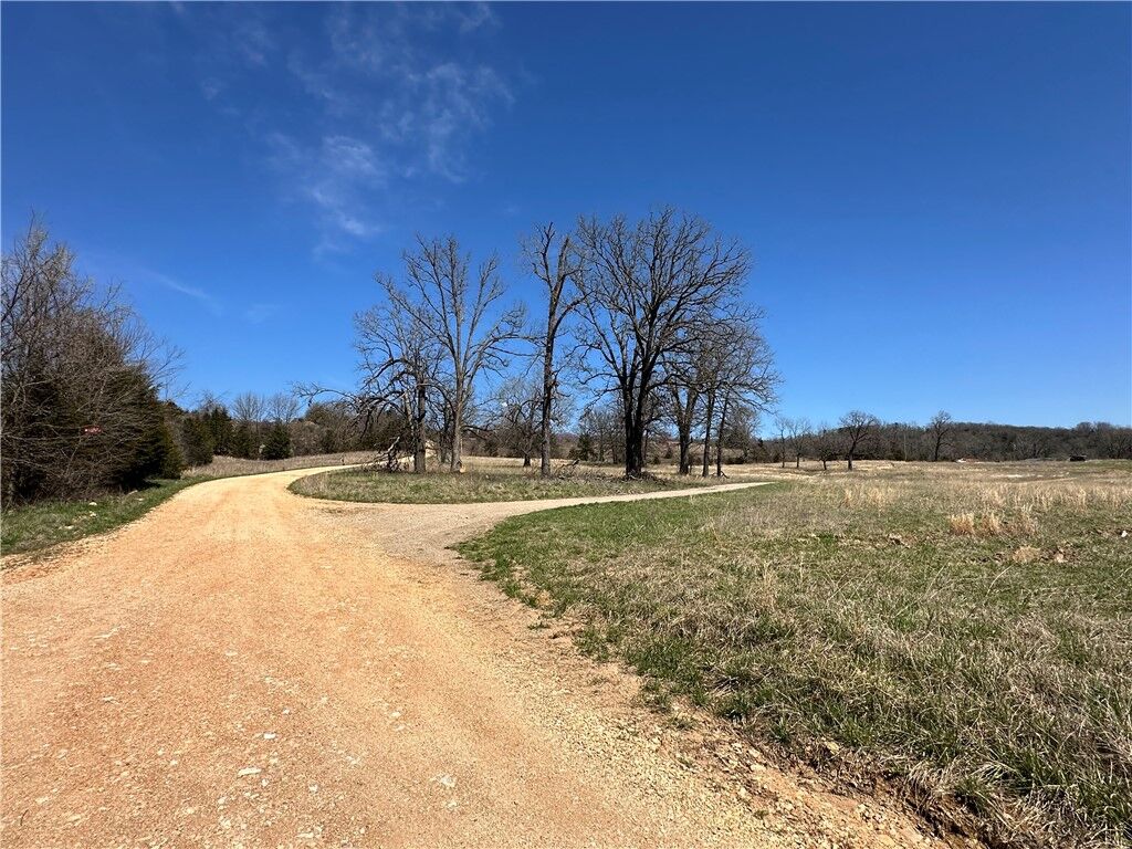 Property Photo:  Lot 2 Hwy 62  AR 72687 