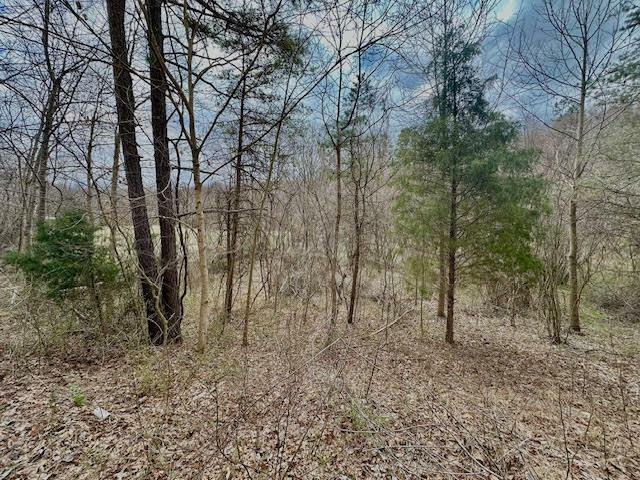 Property Photo: 0 Deer Creek Road OH 45686
