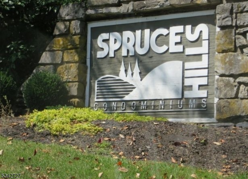 Property Photo: 806 Spruce Hills Dr NJ 08826