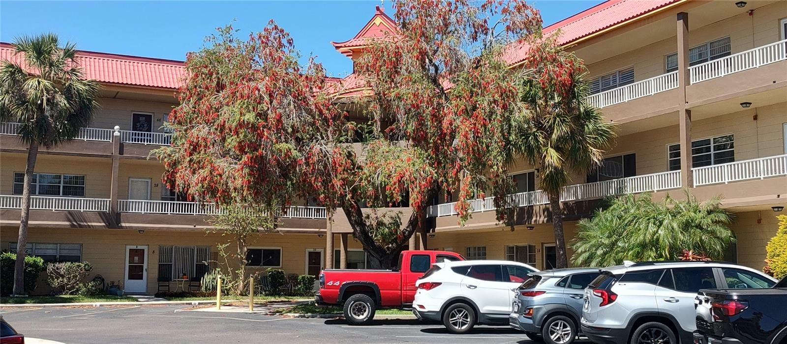 Property Photo:  2402 Ecuadorian Way 20  FL 33763 