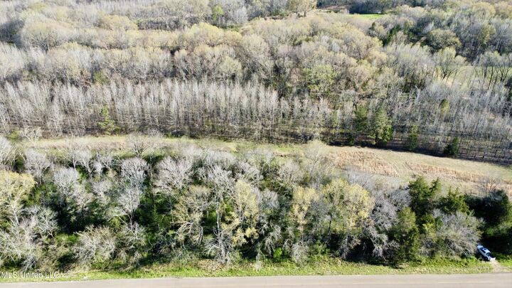 1263 N Ratliff Road  Jackson MS 39209 photo