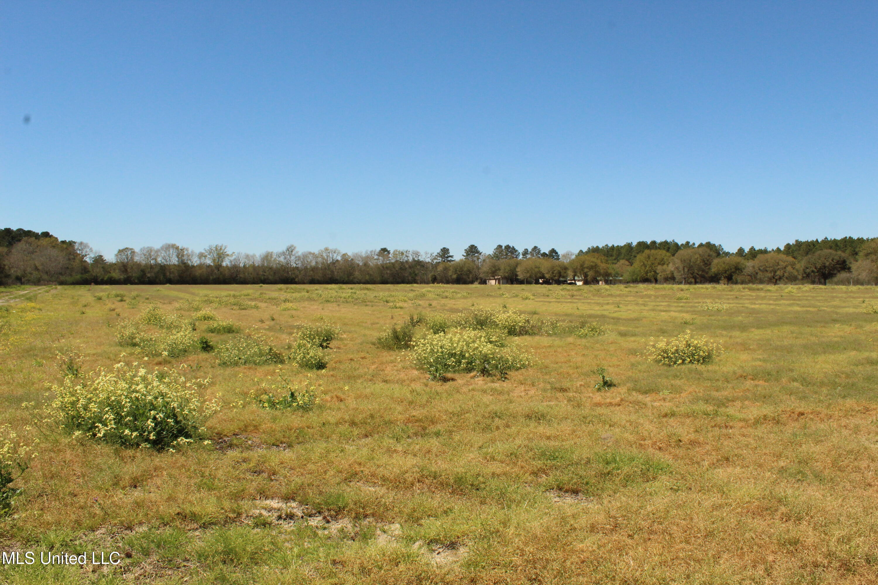 Property Photo: Lot 1 Ramie Farm Road MS 39562
