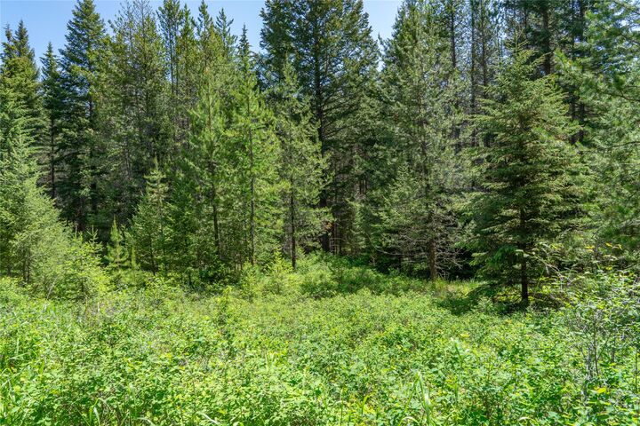 Property Photo:  200 Stageline Drive  MT 59937 