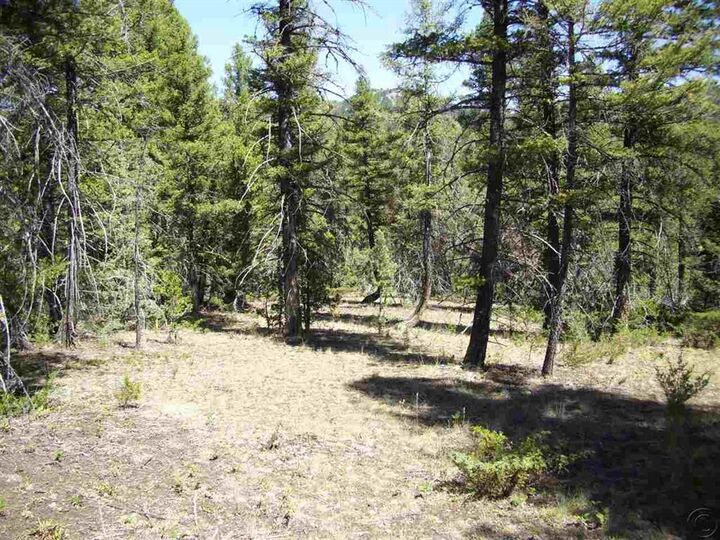 Property Photo: 179 Boarding House Flats Road MT 59858