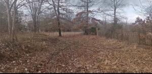 Tbd Co Rd 2241  Hartman AR 72840 photo