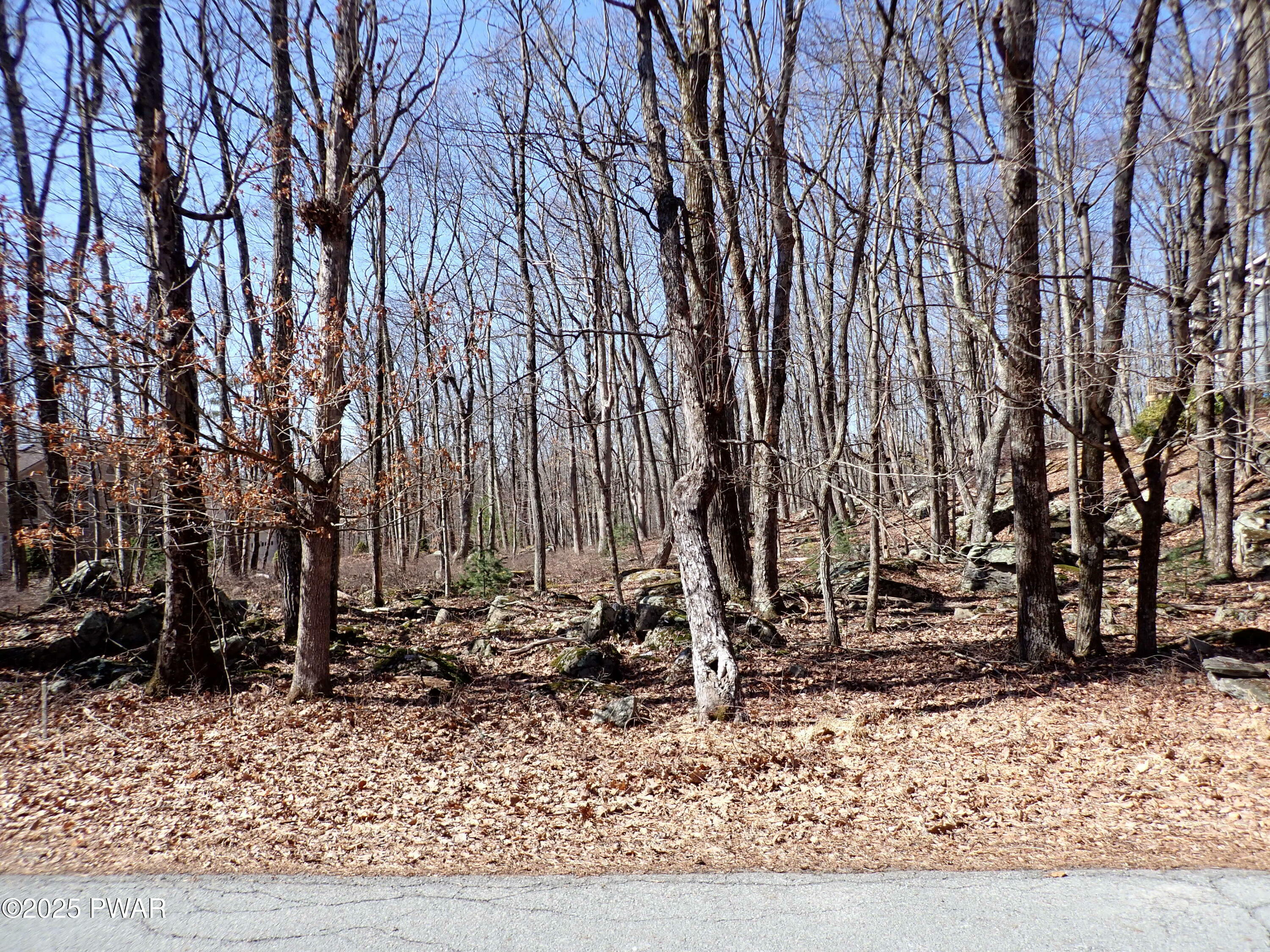 104 Mustang Drive  Lords Valley PA 18428 photo