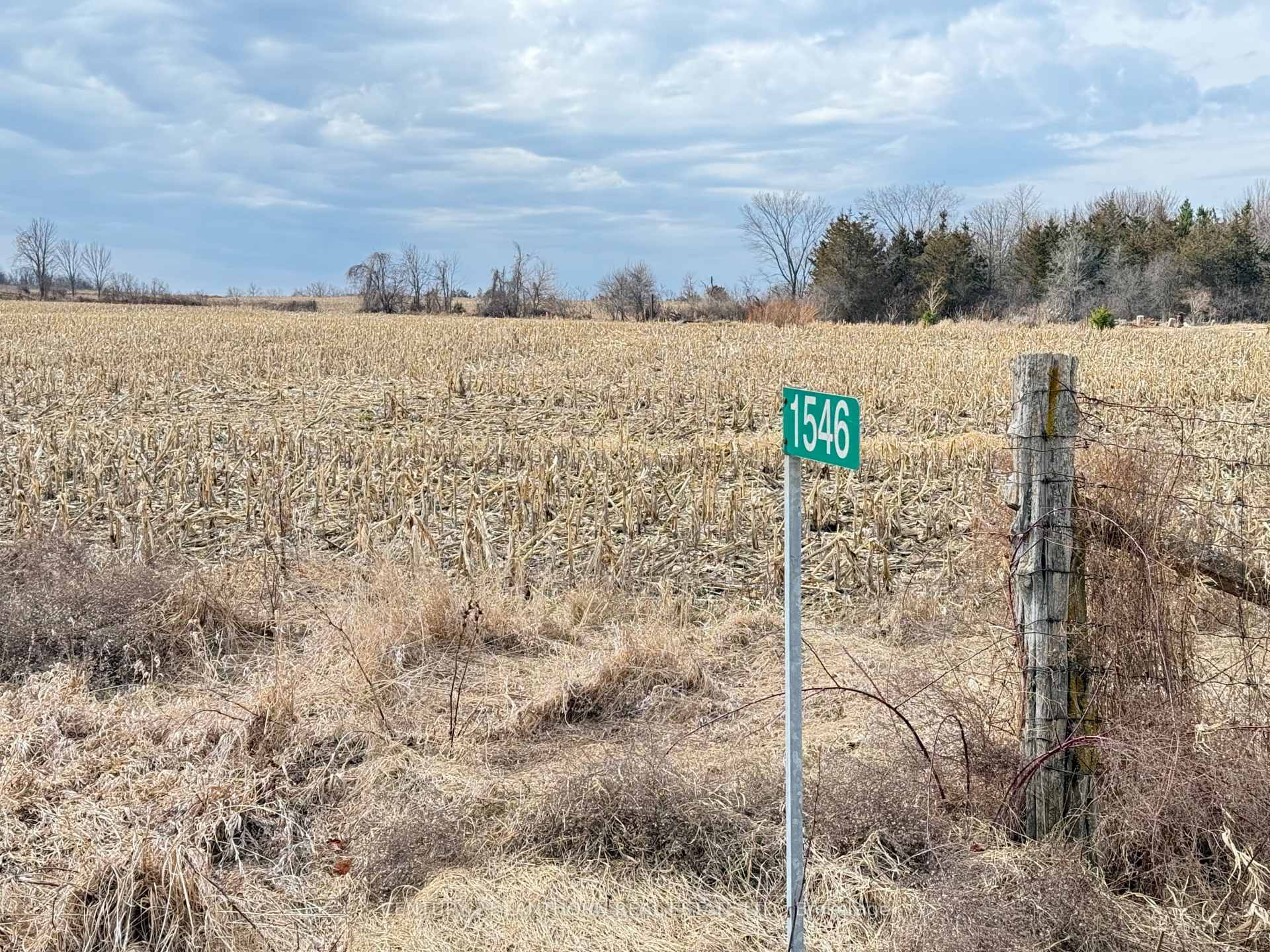 1546 County Road 7 Road W  Prince Edward County ON K0K 2T0 photo