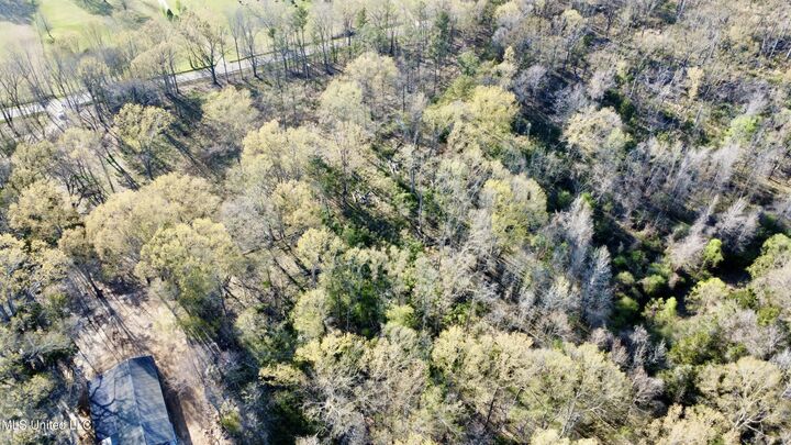 Property Photo: 5370 Clinton-Tinnin Road MS 39209
