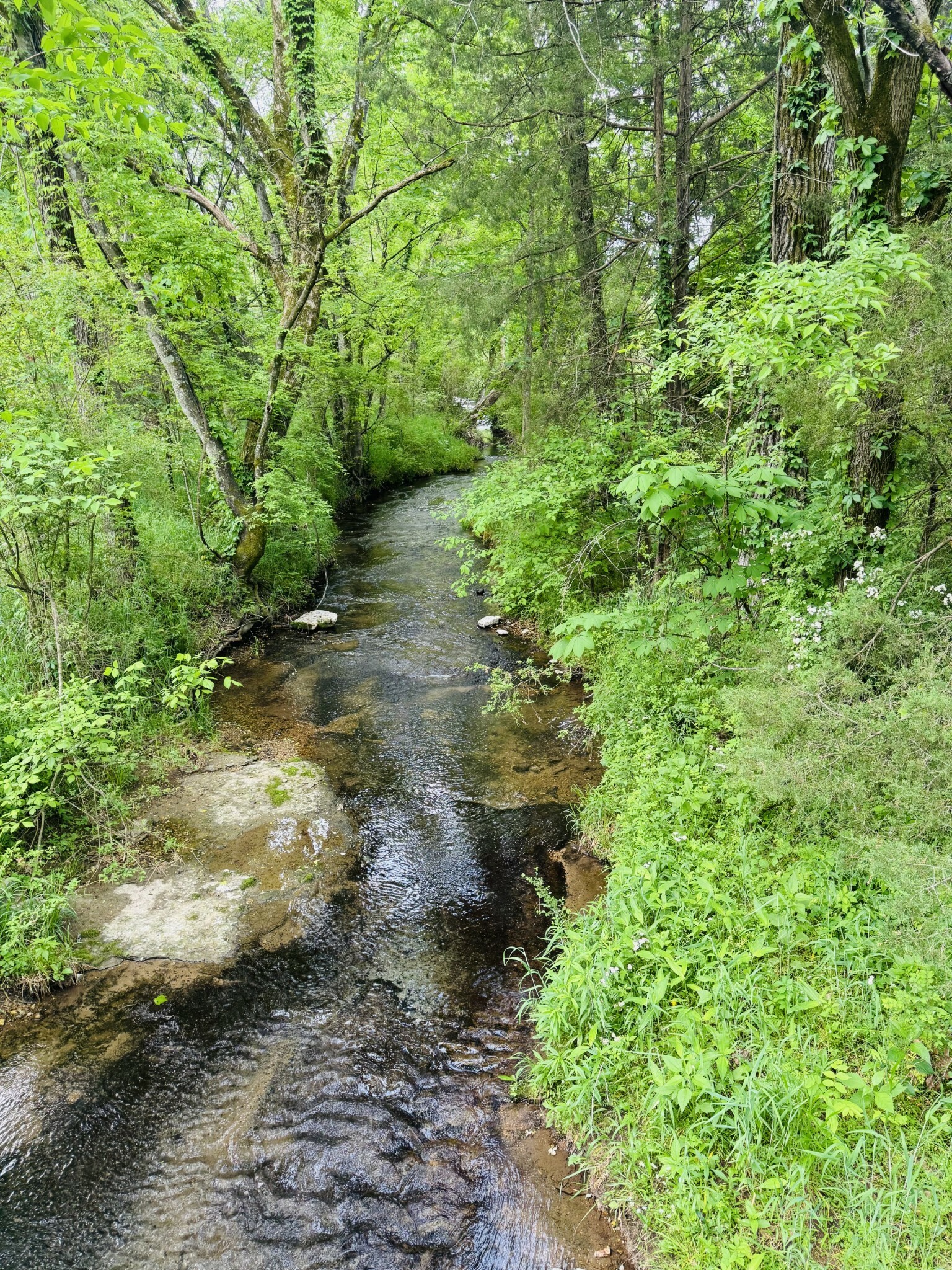 Property Photo: 0 Crews Hollow Road TN 37355