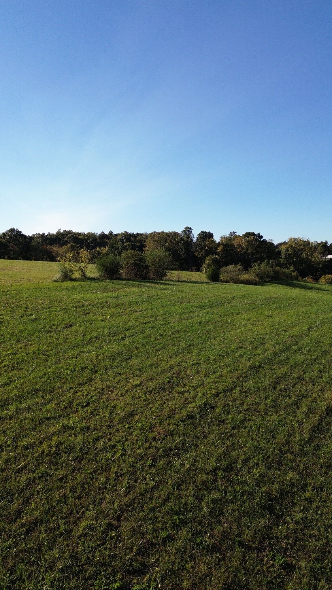 Property Photo: 646 Barnes Mill Rd TN 37166