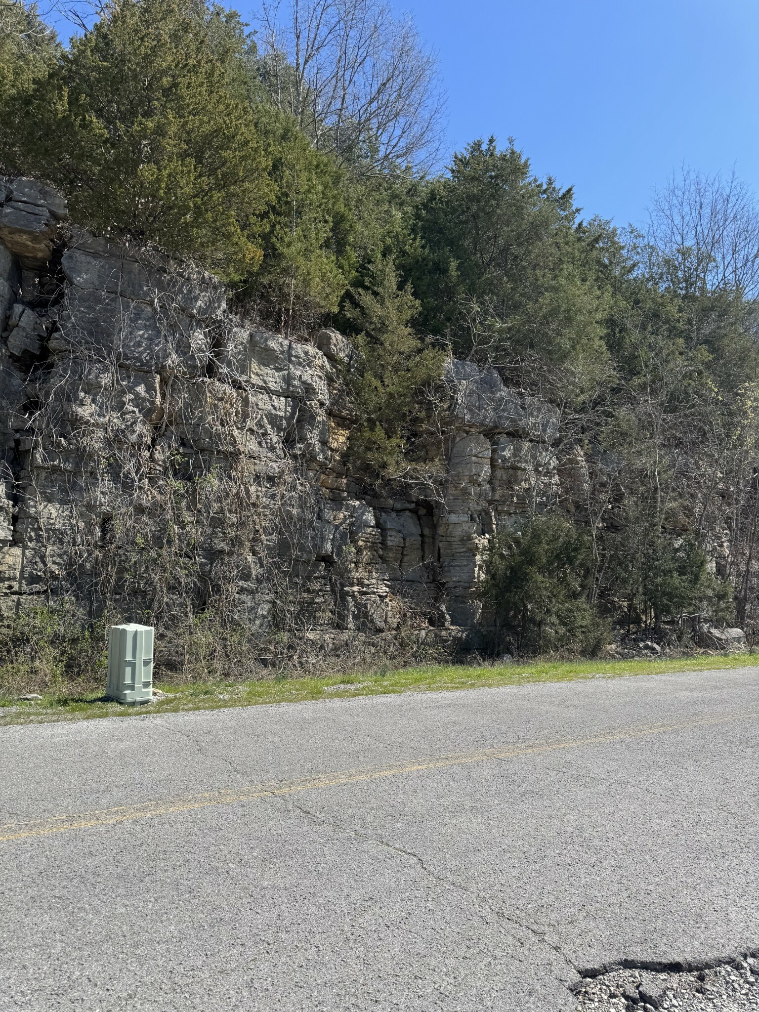 Property Photo: 0 Panhandle Road TN 37355