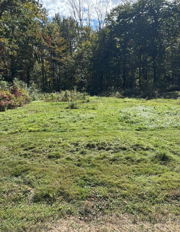 Property Photo:  161 Delargy Rd  MA 01037 