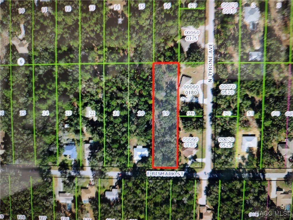 Property Photo: 1271 E Bismark Street FL 34442
