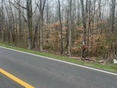 Property Photo: Lot 16 Highway 304 TN 37322