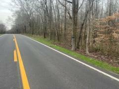 Property Photo: Lot 7 Highway 304 TN 37322