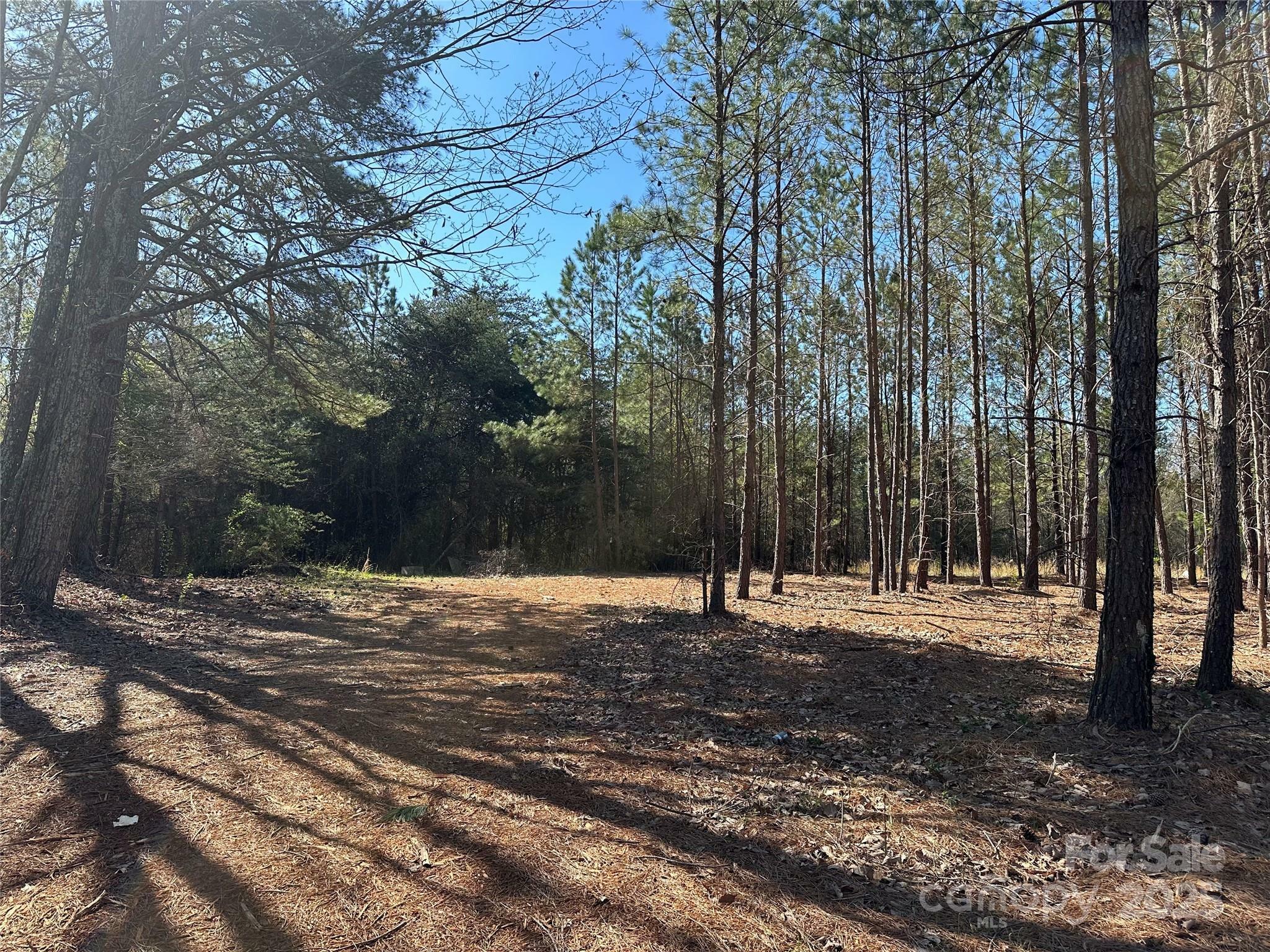 Property Photo: 4339 East Maiden Road NC 28650