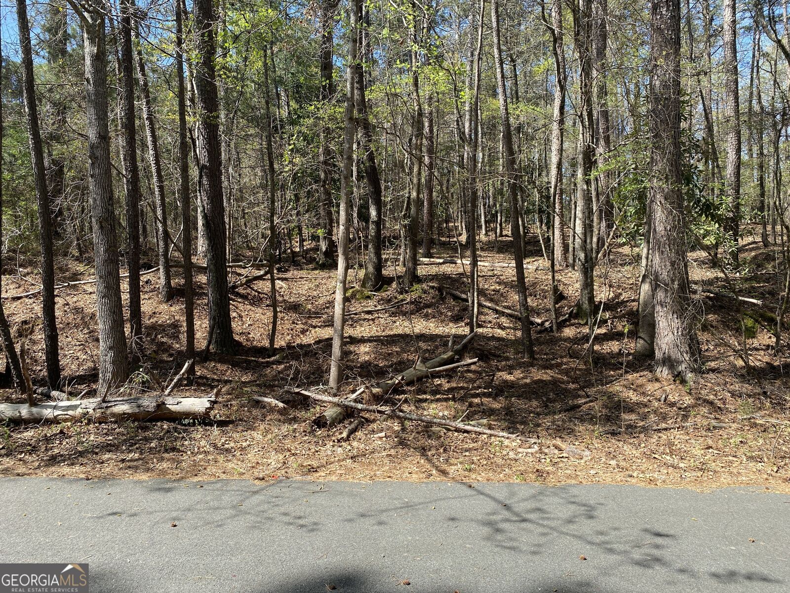 Property Photo:  0 Sandra Drive  GA 31032 