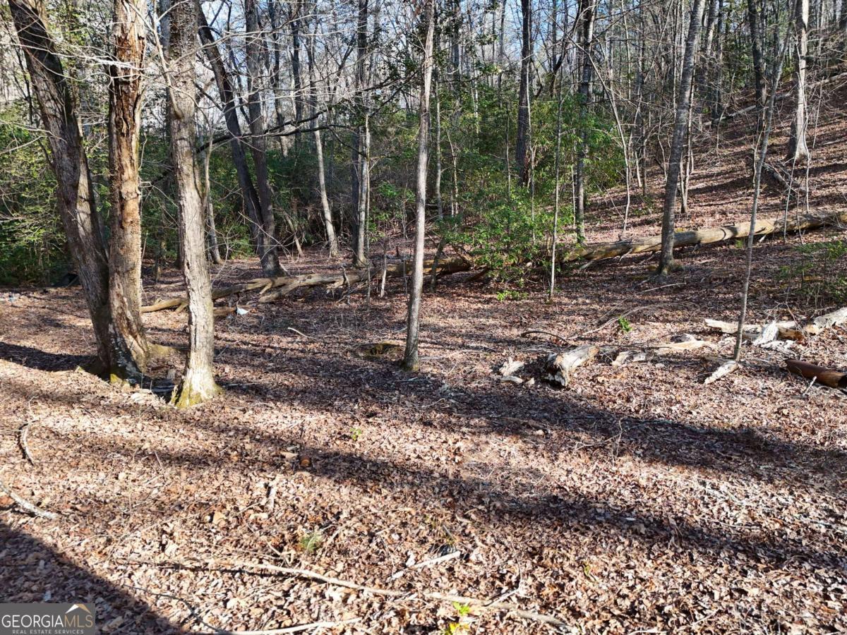 Property Photo: 300 Kaleb Trail GA 30559