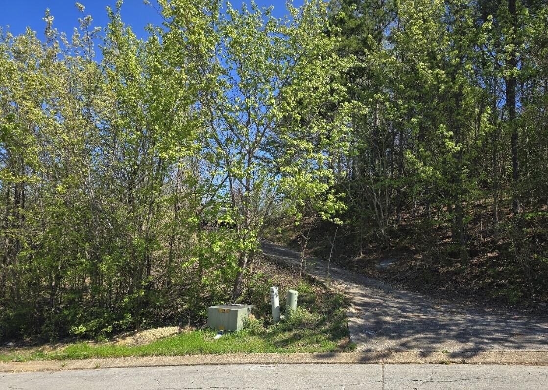 Property Photo:  109 Brently Woods Drive  TN 37421 