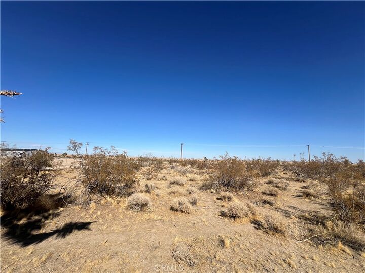 Property Photo: 0 Mountain CA 92372