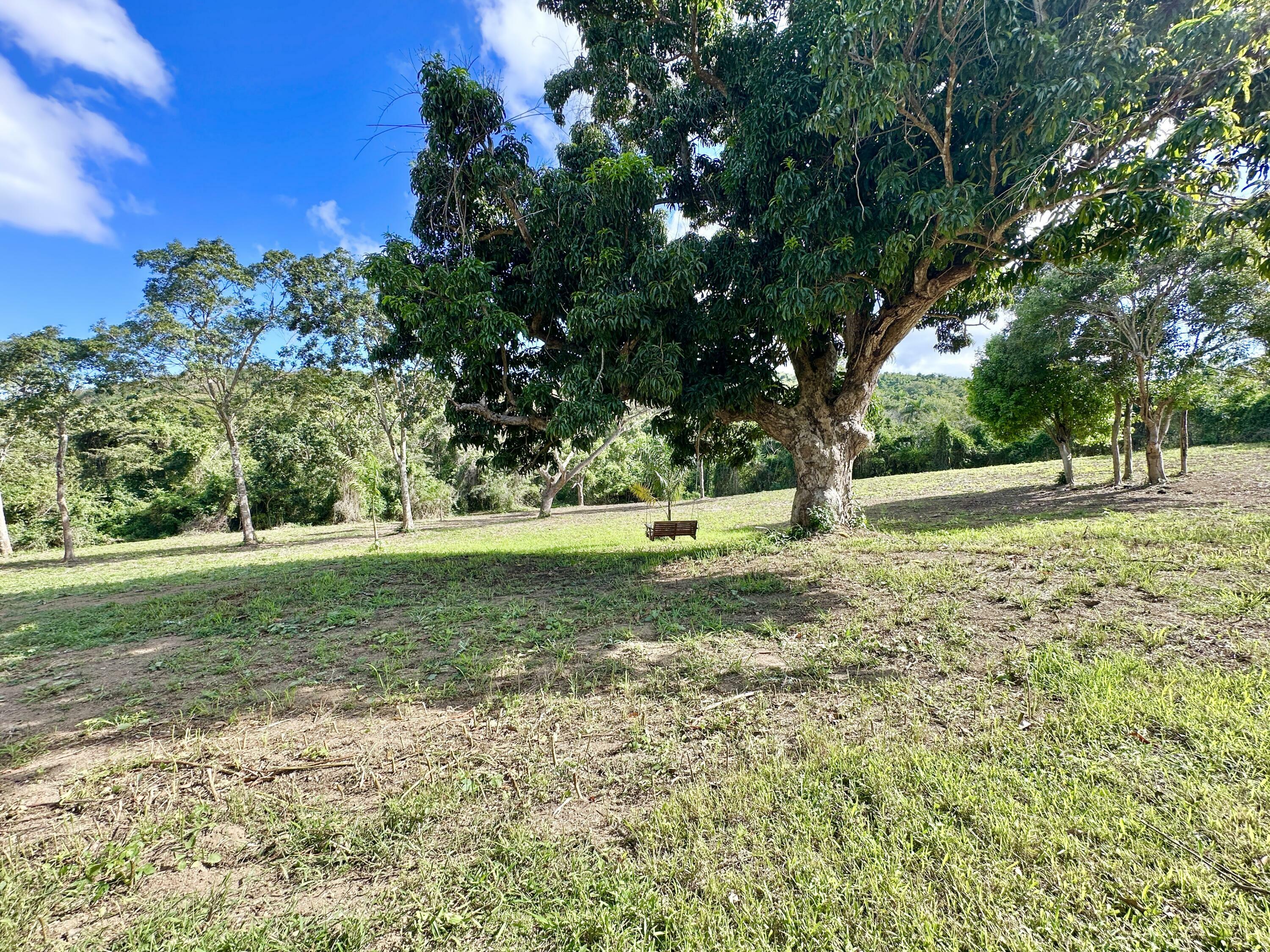 Property Photo: Rem 9-B Montpellier Pr VI 00840