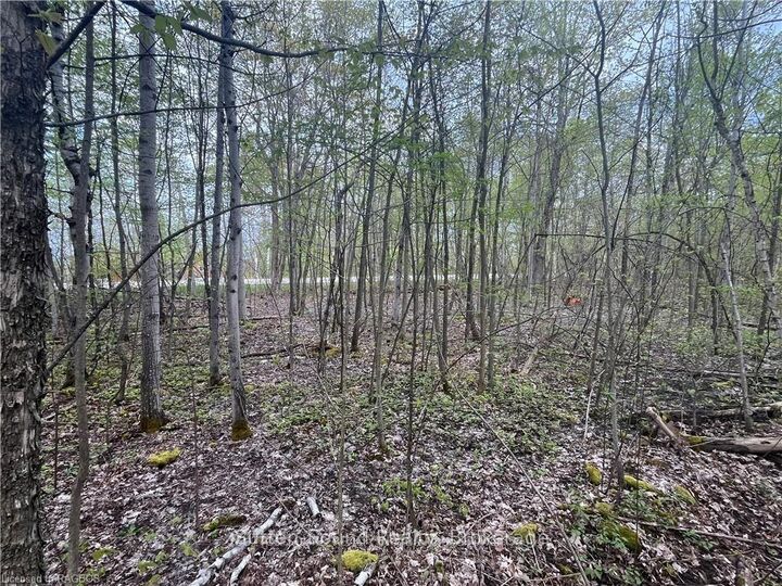 Property Photo:  Lot 5 Grey  Road 1 N/A  ON N0H 2T0 