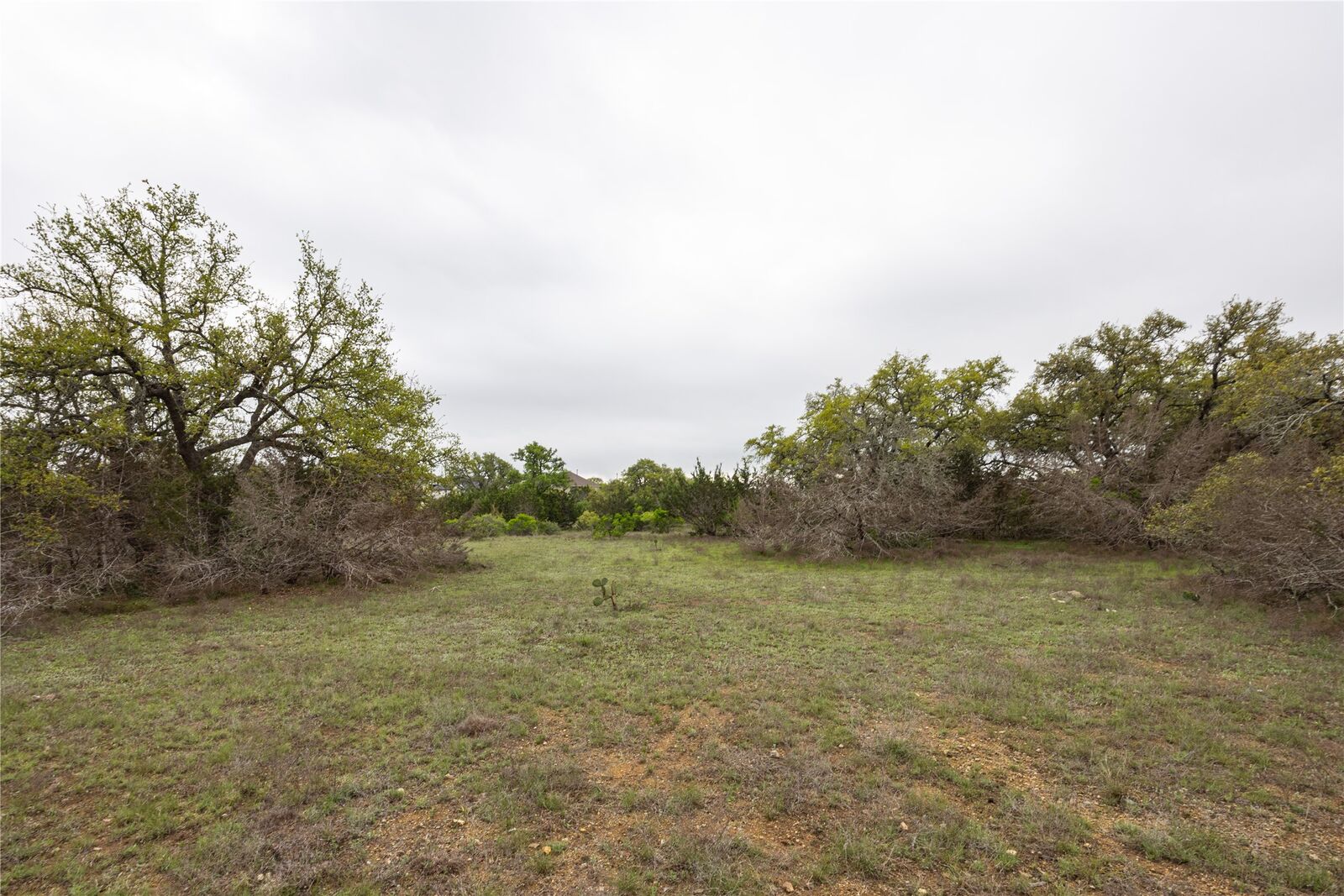 Property Photo: Tbd Logan'S Way TX 78606