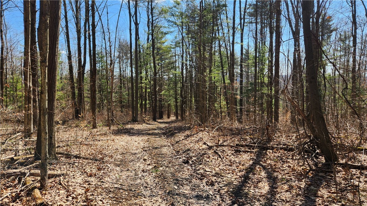 County Road 13  Bath NY 14810 photo