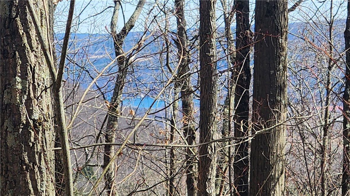 Property Photo: County Road 13 NY 14810
