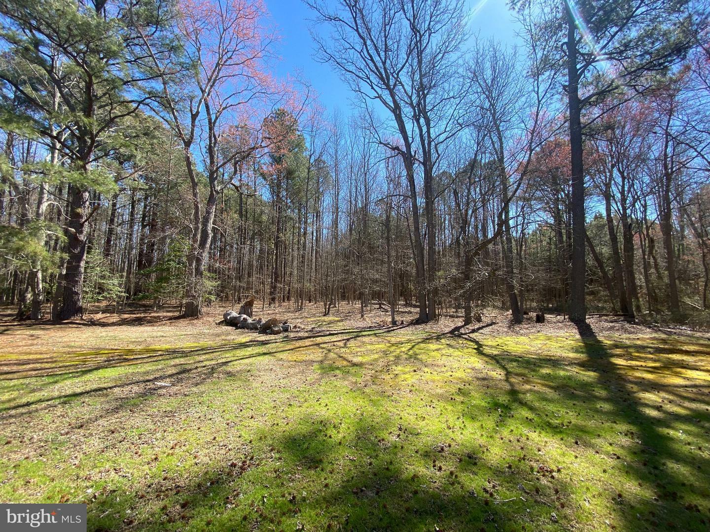 Property Photo: 3309 Jesterville Road MD 21814