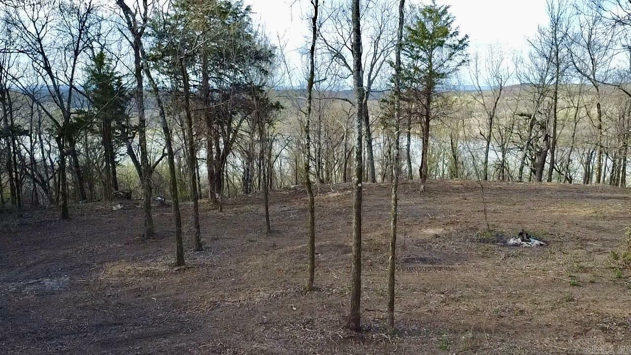 Property Photo: 918 Citadel Bluff Trail AR 72930