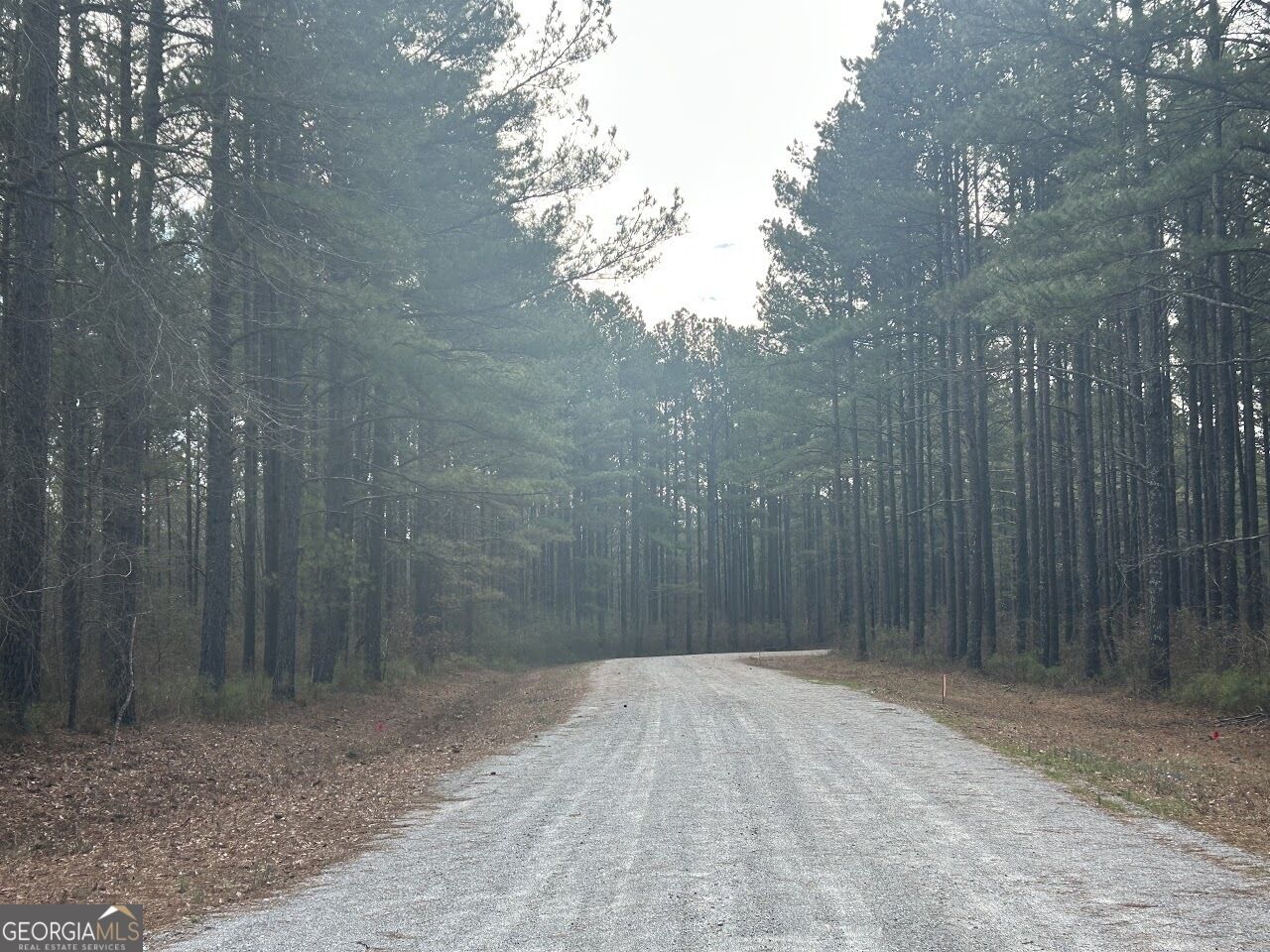 Property Photo:  223 Riversong Road  GA 30117 