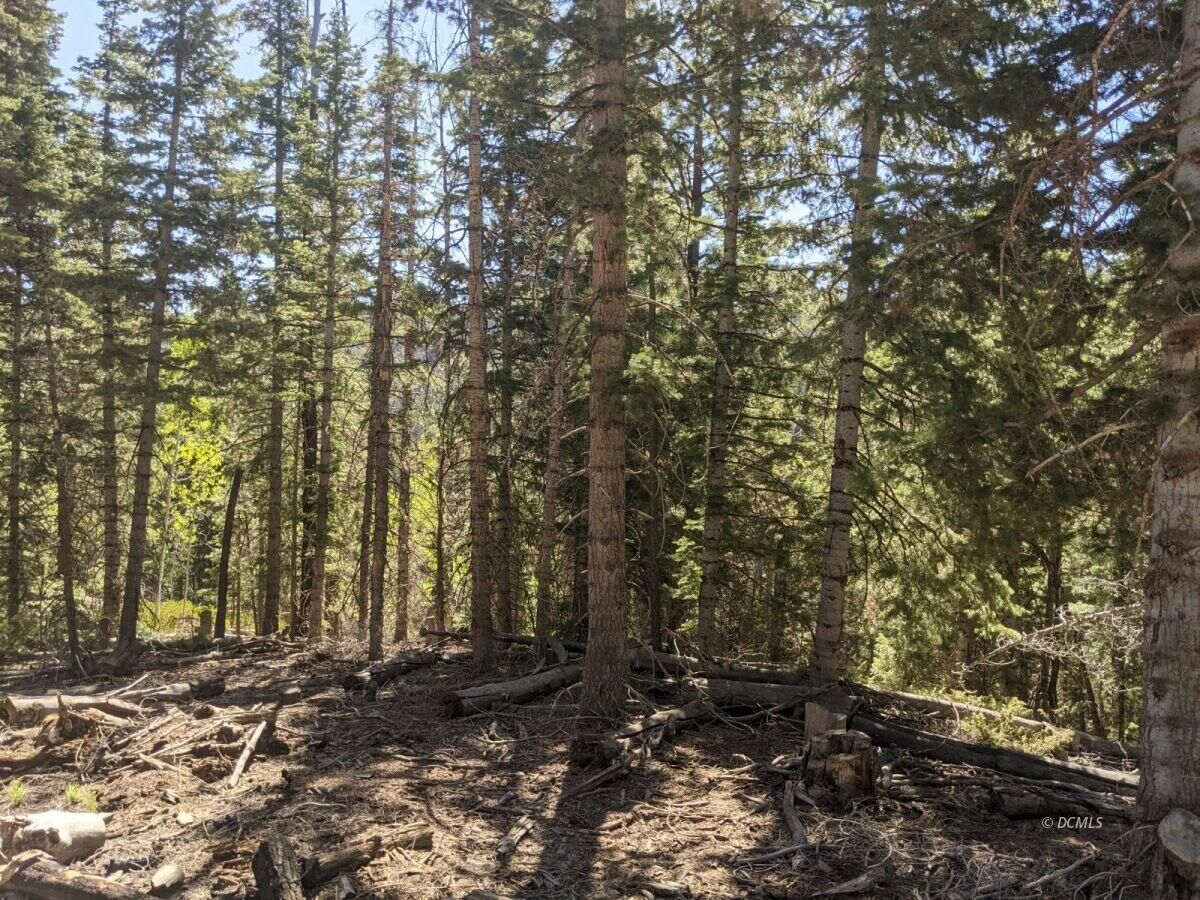 Property Photo: 26 Bonnie Green UT 84762