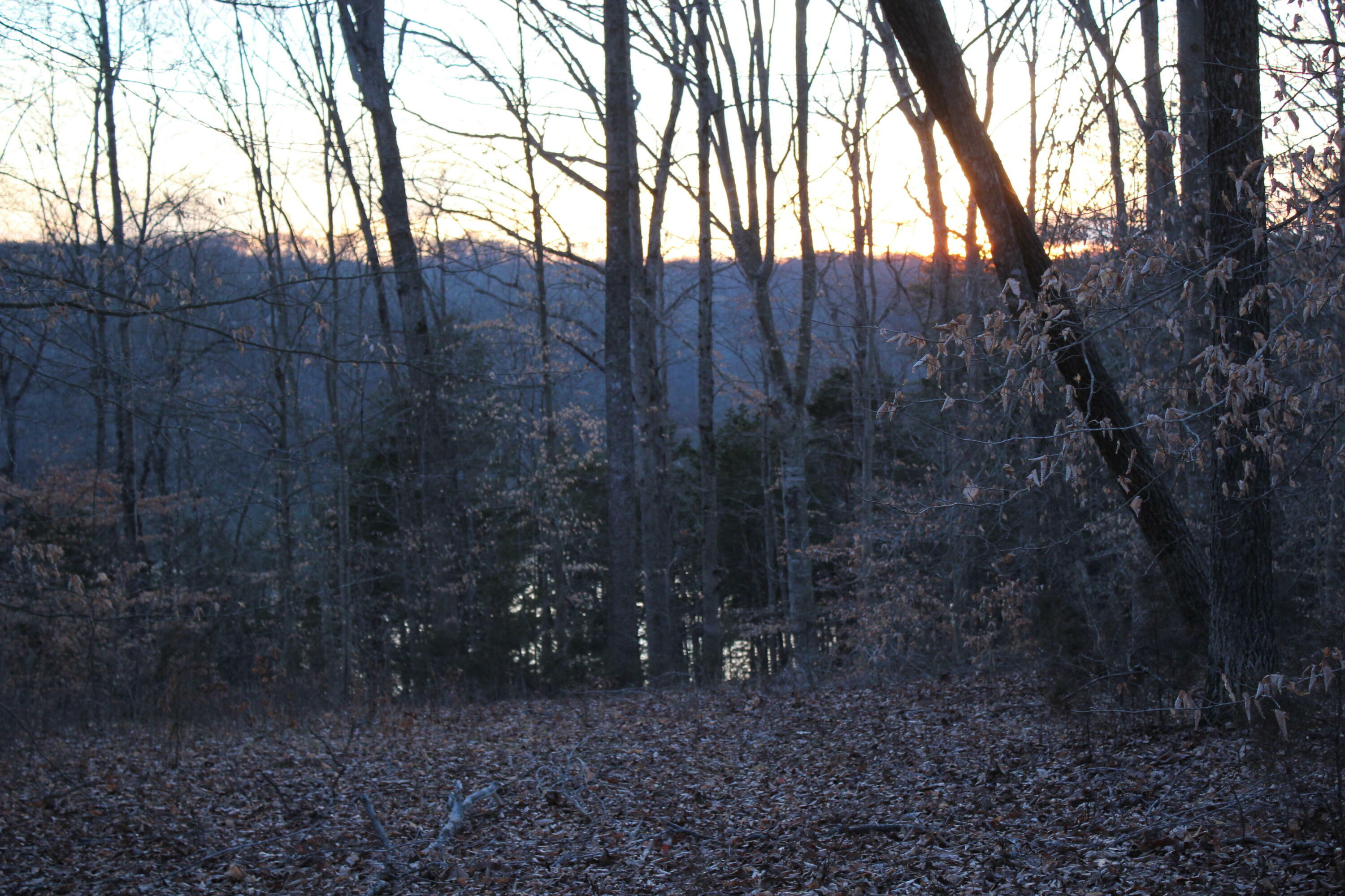 Property Photo: Lot 40 Anchor Way KY 42629