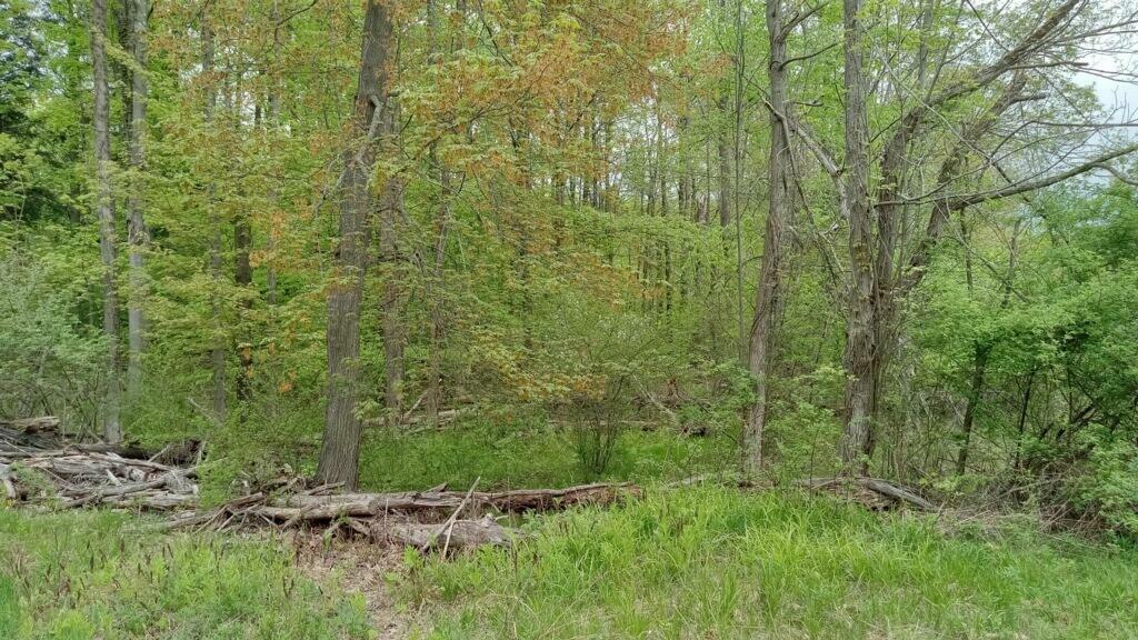 Property Photo: 287 W Baseline Road MI 49455