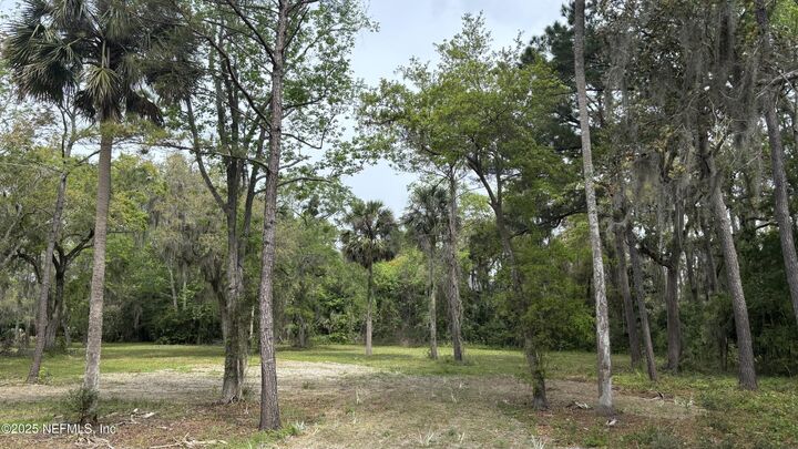 Property Photo: 137 Walter Way FL 32082