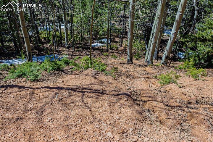 Property Photo:  336 Witherite Drive  CO 80814 