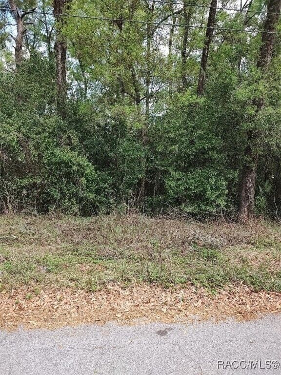 Property Photo: 3665 S Diamond Avenue FL 34452