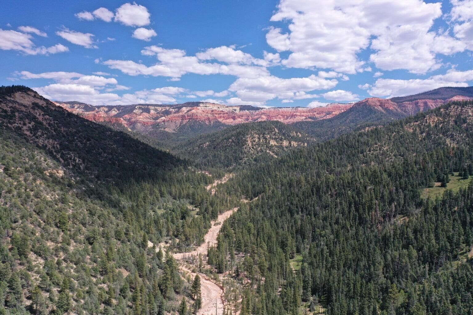 Property Photo: Cedar Mountain Ashdown Gorge-B UT 84720