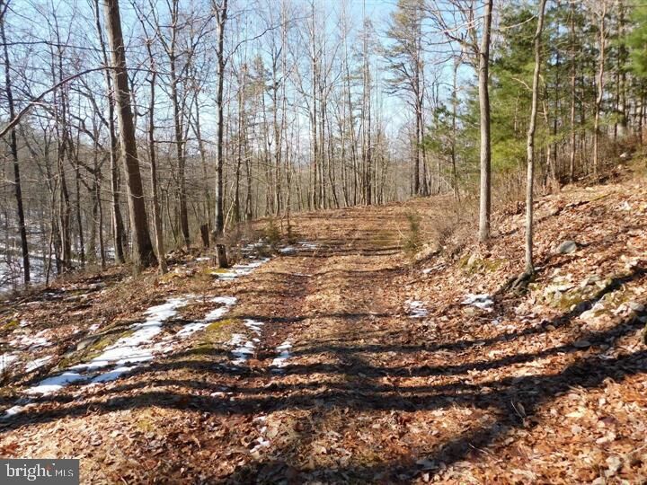 81 Brandy Road  Front Royal VA 22630 photo