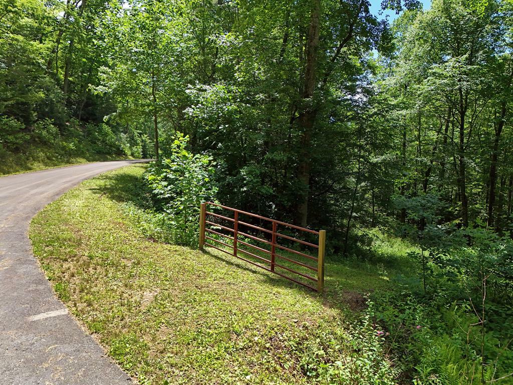 Property Photo:  Lt15/15A Hightower Ridge  GA 30546 